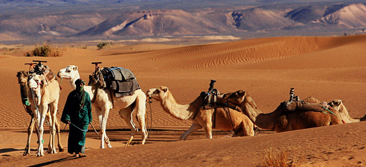 2 Days Desert Tour From Marrakech To Zagora